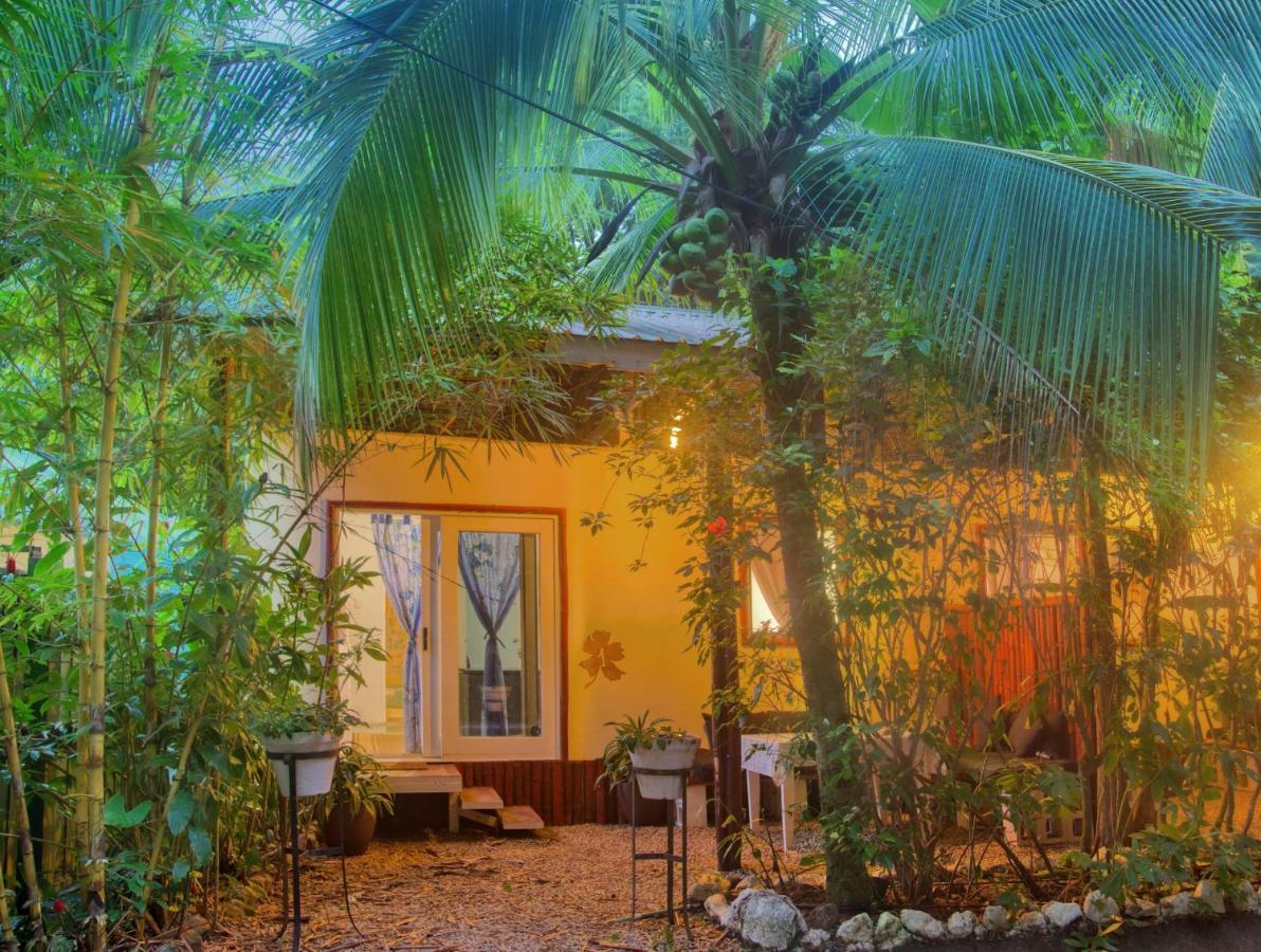 Готель Jungle'S Edge Носара Екстер'єр фото