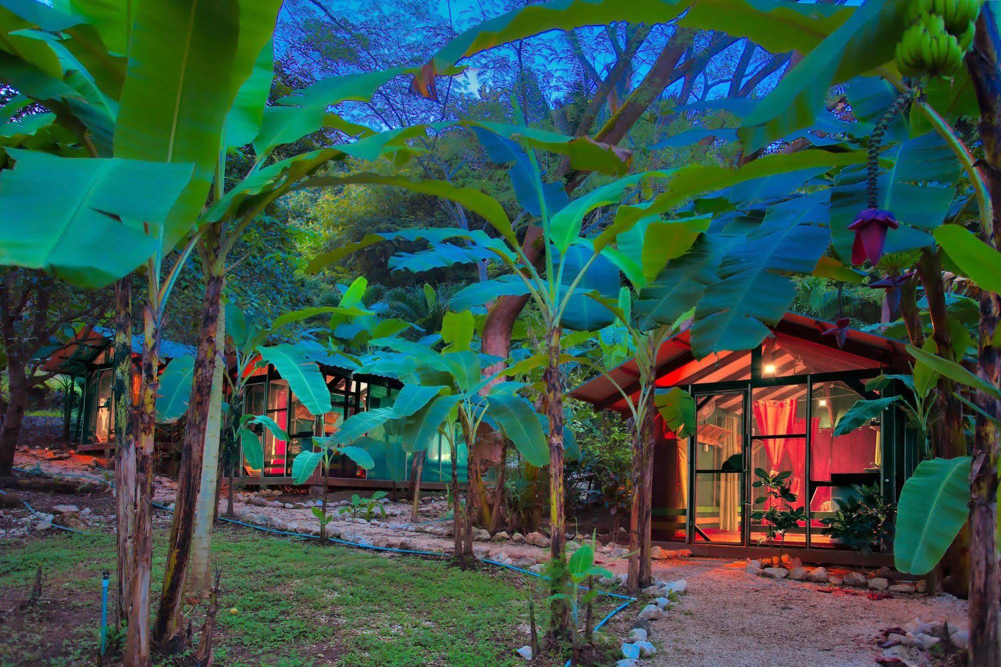 Готель Jungle'S Edge Носара Екстер'єр фото